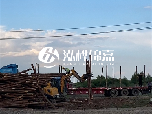 河北打樁木源頭廠家泓樺錦嘉 - 北方常用打樁木是什么？