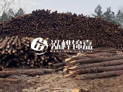 地基打木樁用什么木材 - 地基打木樁的能撐幾年？