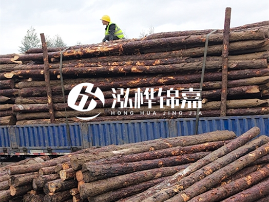 防洪防汛用松木樁的單價是多少？4米長10公分多少錢一根？