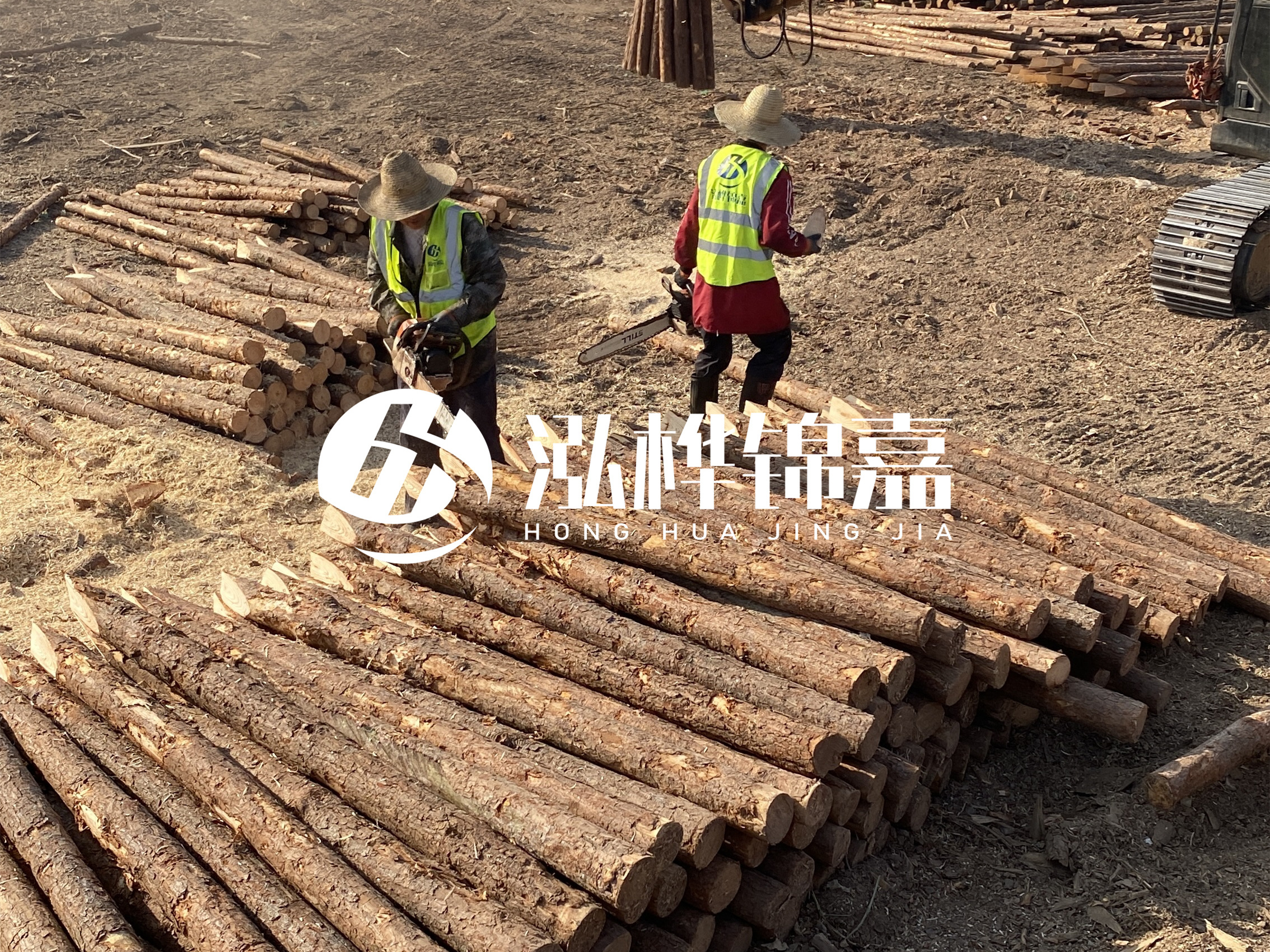 河道木樁報價在汛期前后會有波動嗎？什么時候買最便宜？