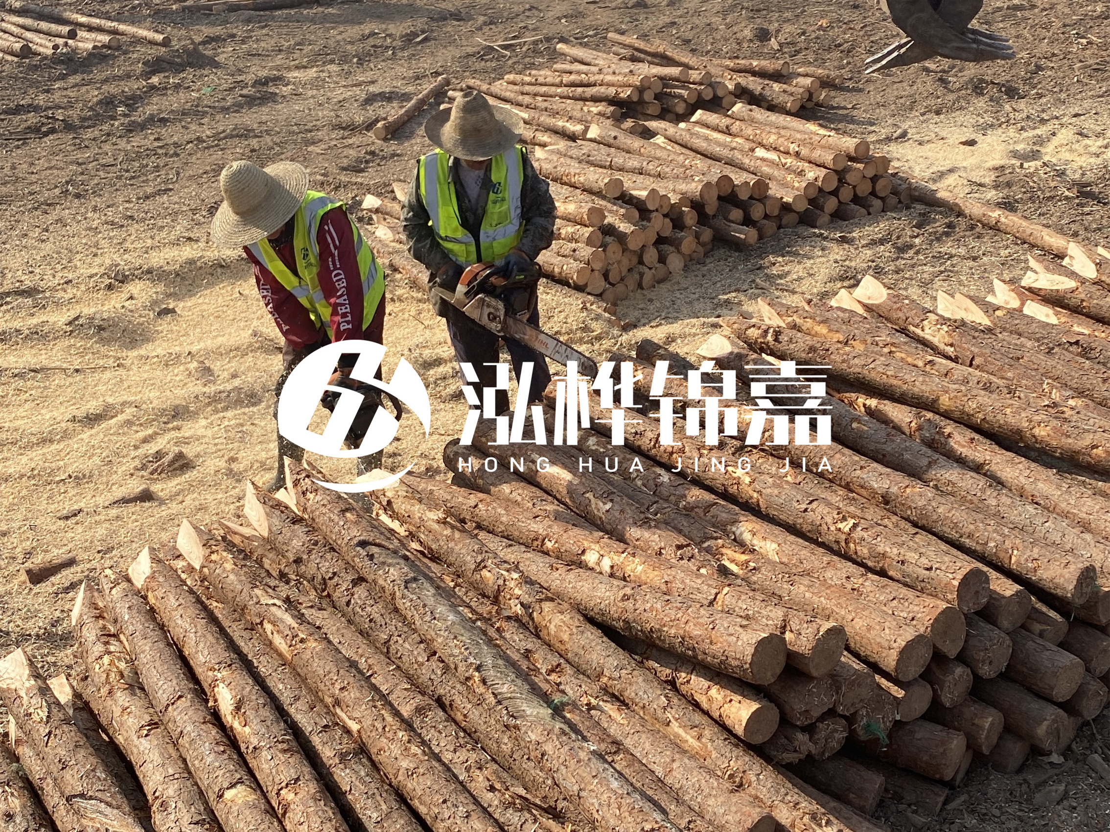 河北打樁木廠家主要生產(chǎn)哪些材質(zhì)的打樁木？產(chǎn)品有哪些規(guī)格？