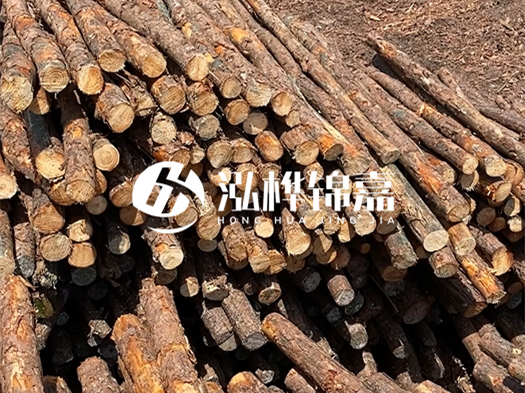 江西有哪些松木樁生產(chǎn)廠家？松木樁廠在什么位置？