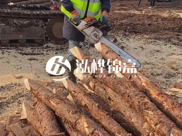 松木樁河道護(hù)坡怎么施工？打樁多少錢一根？