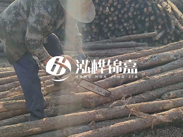 廣東打樁木源頭廠家泓樺錦嘉 - 如何選擇適合特定邊坡的松木樁？