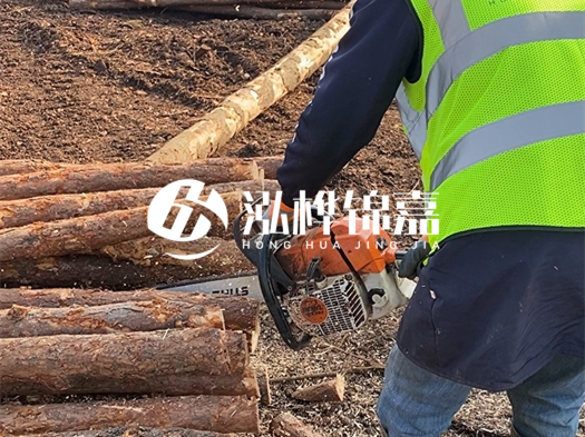 河道打木樁多少錢一根？5米直徑10松木樁打樁多少錢？