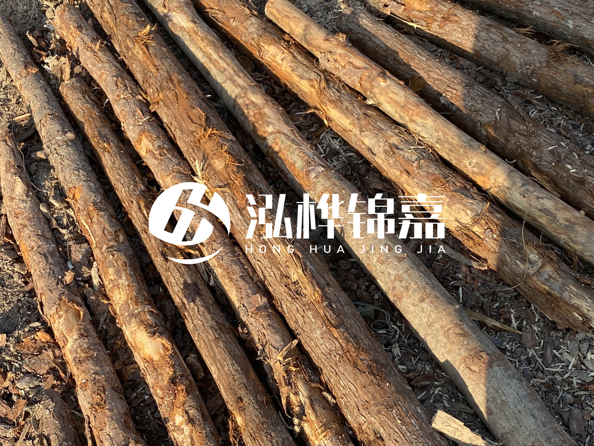 河道木樁多少錢一根？河道木樁的使用以及保養(yǎng)方法?