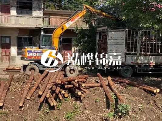 怎么把松木樁打到土里？松木樁要打進去多深？