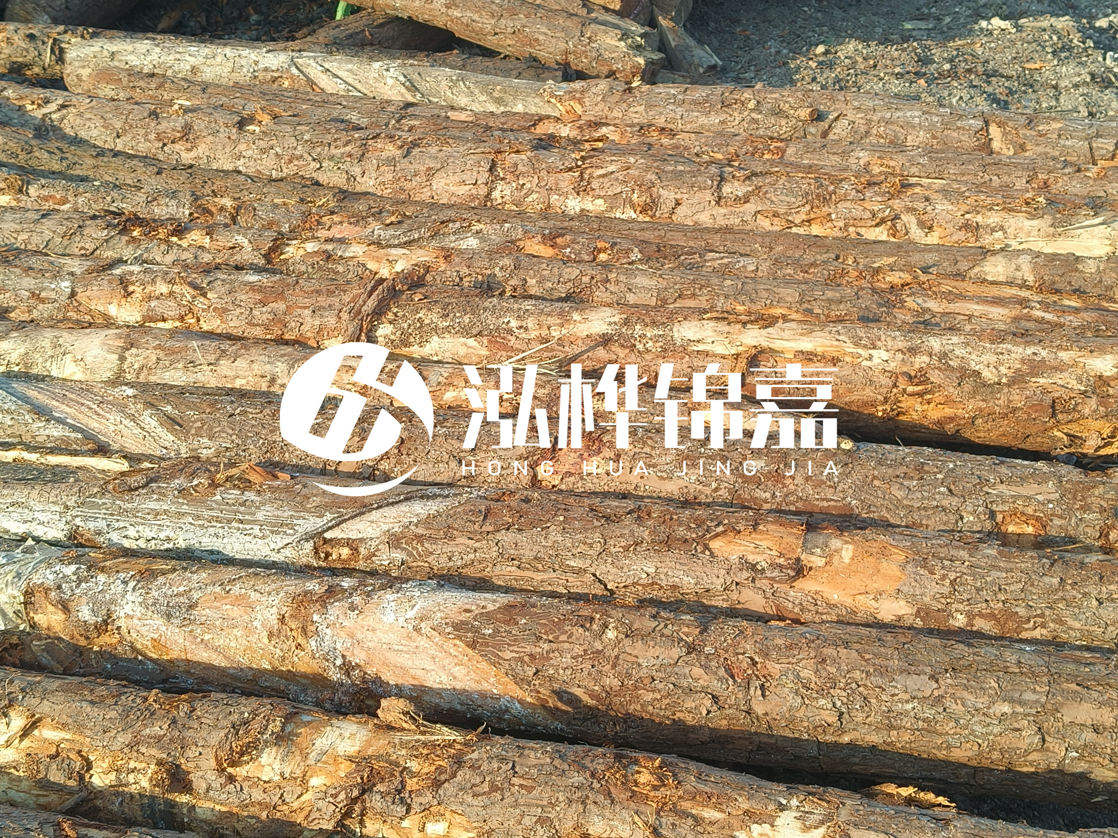 河道木樁的含水率過高會(huì)有什么問題？怎么檢查松木樁含水率？