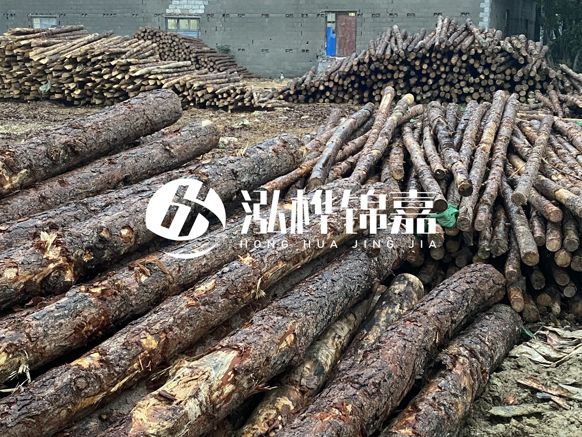 松木樁批發(fā)廠家泓樺錦嘉 - 河道松木樁如何選擇優(yōu)質(zhì)木材？