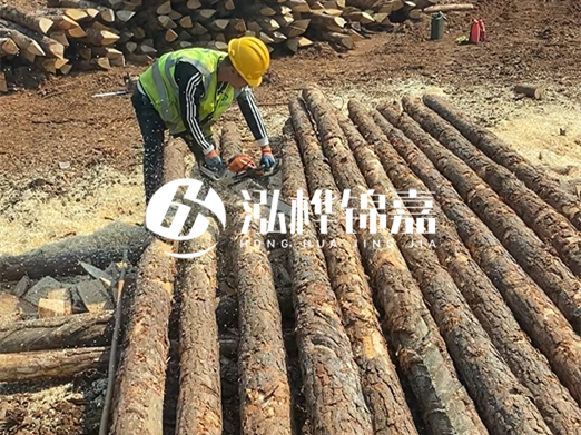 松木樁批發(fā)廠家泓樺錦嘉-河道打樁木施工中怎么防止樁頭被打壞？