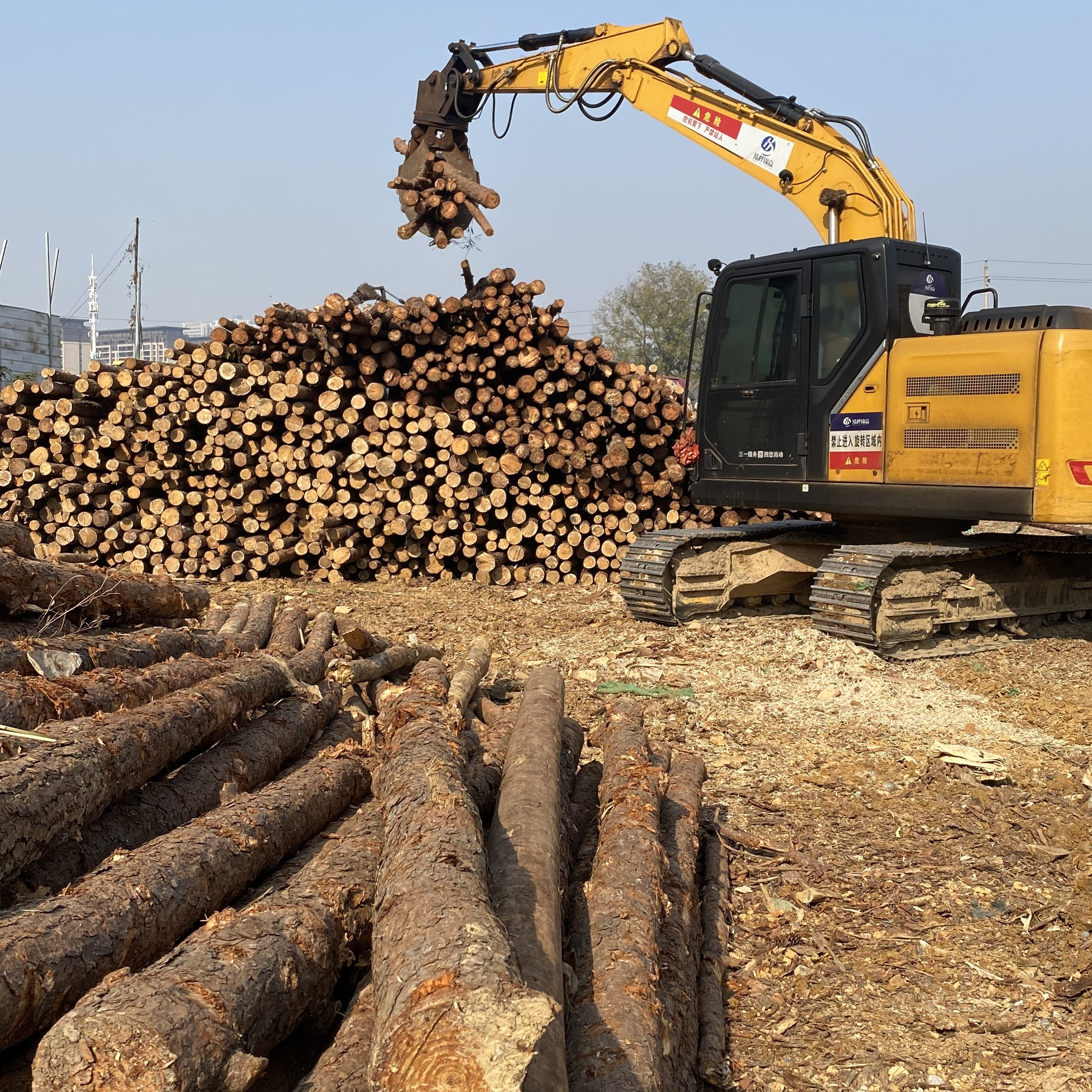 松木樁廠家泓樺錦嘉-濕地松原木的價格大概是多少？