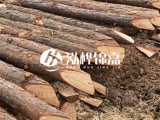 松木樁廠家泓樺錦嘉-河道兩邊打樁是干嘛的？