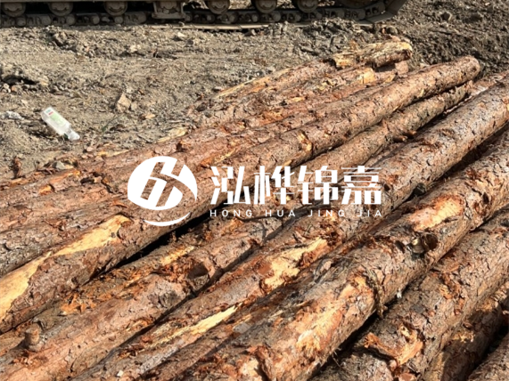 松木樁廠家泓樺錦嘉-原木松木樁的材質(zhì)是落葉松還是濕地松好？