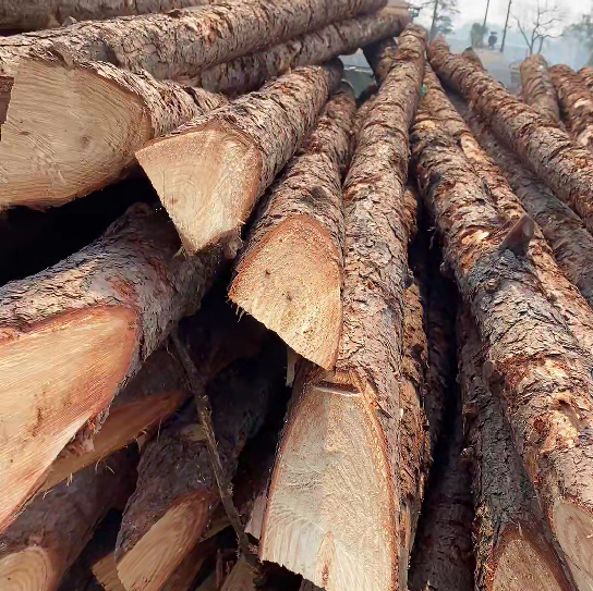 松木樁施工隊泓樺錦嘉 - 原木松木樁怎么辨別是否為實心？