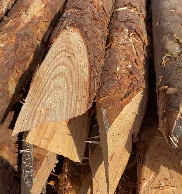 松木樁施工隊泓樺錦嘉 - 原木松木樁的最低起訂量是多少？