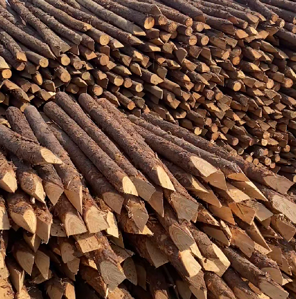 松木樁施工隊泓樺錦嘉 - 河道駁岸樁的檢測標(biāo)準(zhǔn)是什么？