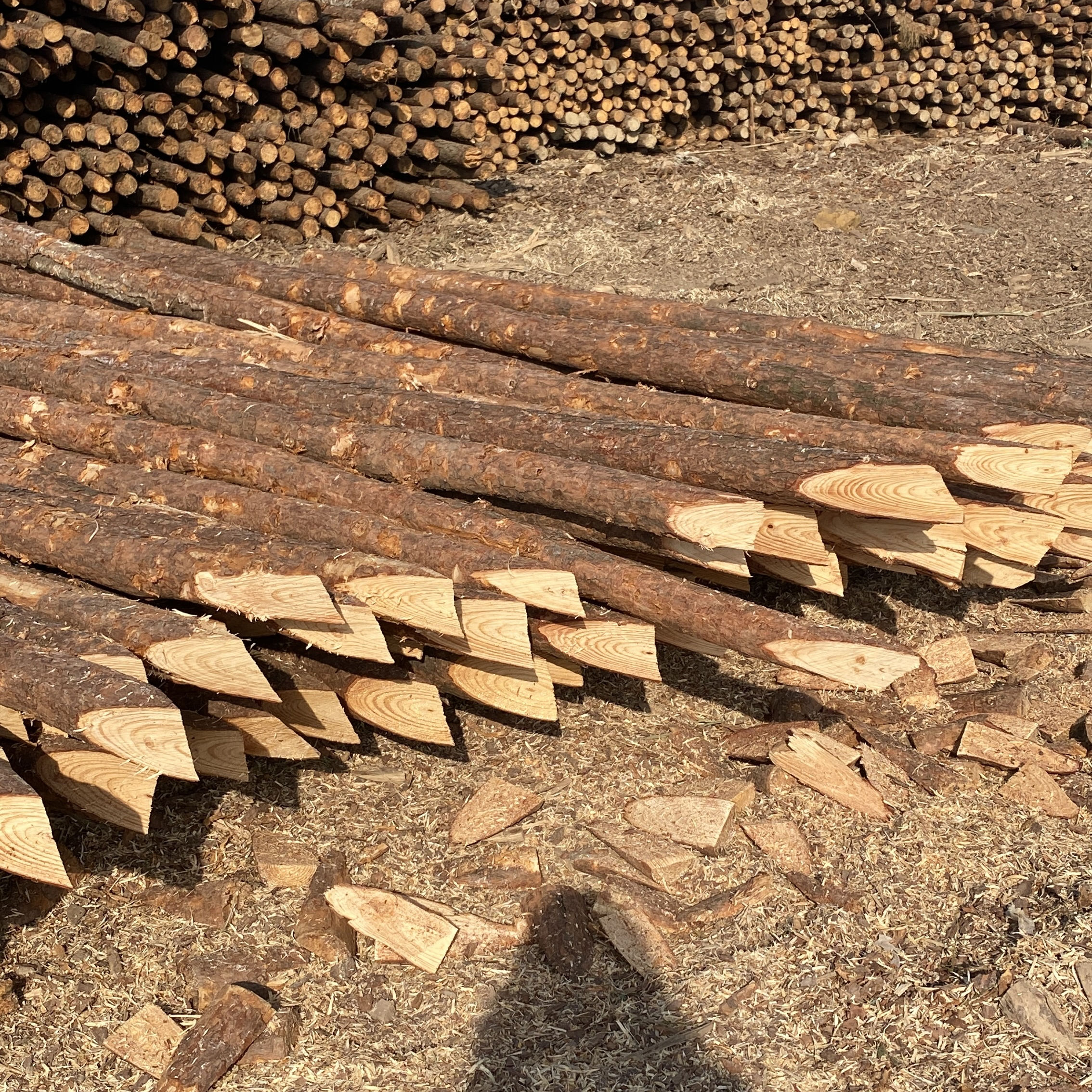 松木樁施工隊泓樺錦嘉-樁與樁之間的距離要求？