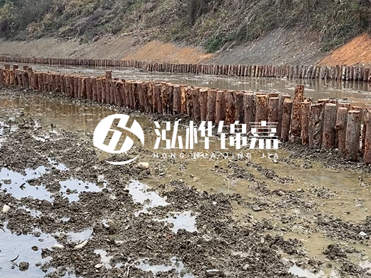 松木樁施工隊泓樺錦嘉 - 河道打松木樁施工流程？
