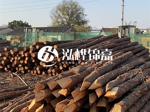 松木樁施工隊(duì)泓樺錦嘉 - 河道打樁用什么木樁？