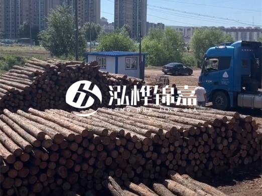 水泥仿木樁施工隊(duì)泓樺錦嘉 - 水泥樁引孔的深度和直徑如何確定？