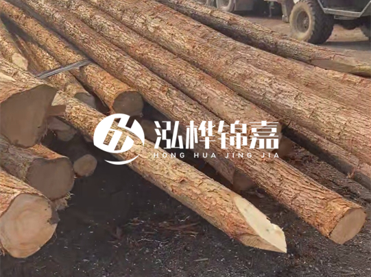 松木樁施工隊(duì)泓樺錦嘉 - 松木樁加固地基原理是什么？