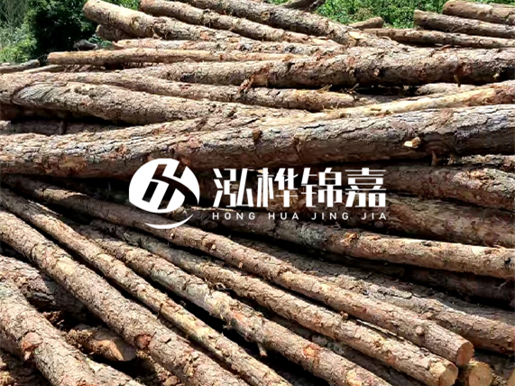 松木樁施工隊(duì)泓樺錦嘉 - 松木樁施工起什么效果？