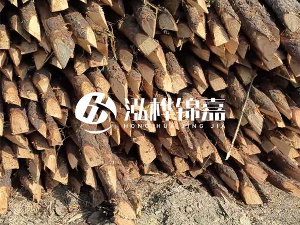 松木樁施工隊泓樺錦嘉 - 用打樁木修河道護坡可以嗎？