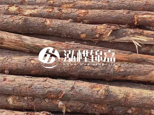 松木樁施工隊泓樺錦嘉 - 2 米長松木樁多少錢一根？