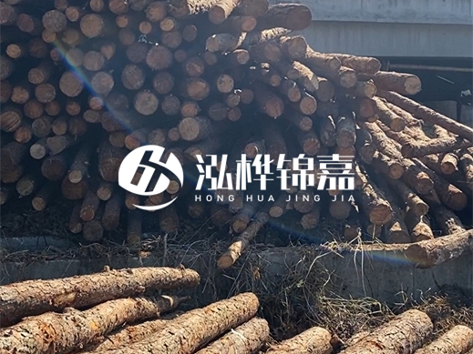 松木樁施工隊泓樺錦嘉 - 為什么要進行河道護坡？