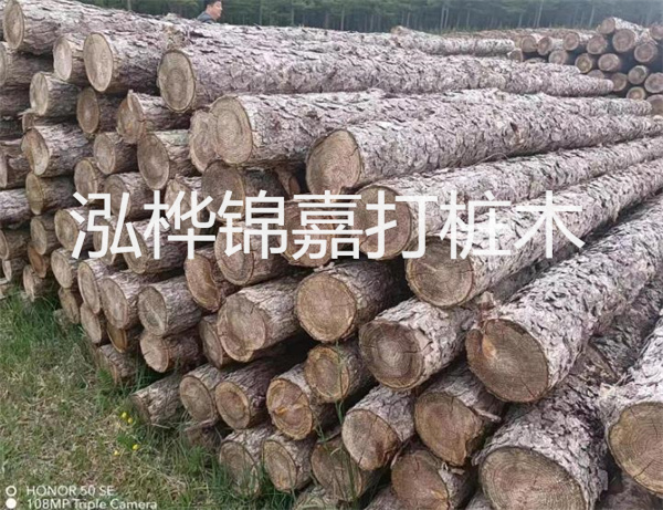 高效修補(bǔ)，保駕護(hù)航！水泥路面高強(qiáng)度修補(bǔ)料為您解決煩惱！