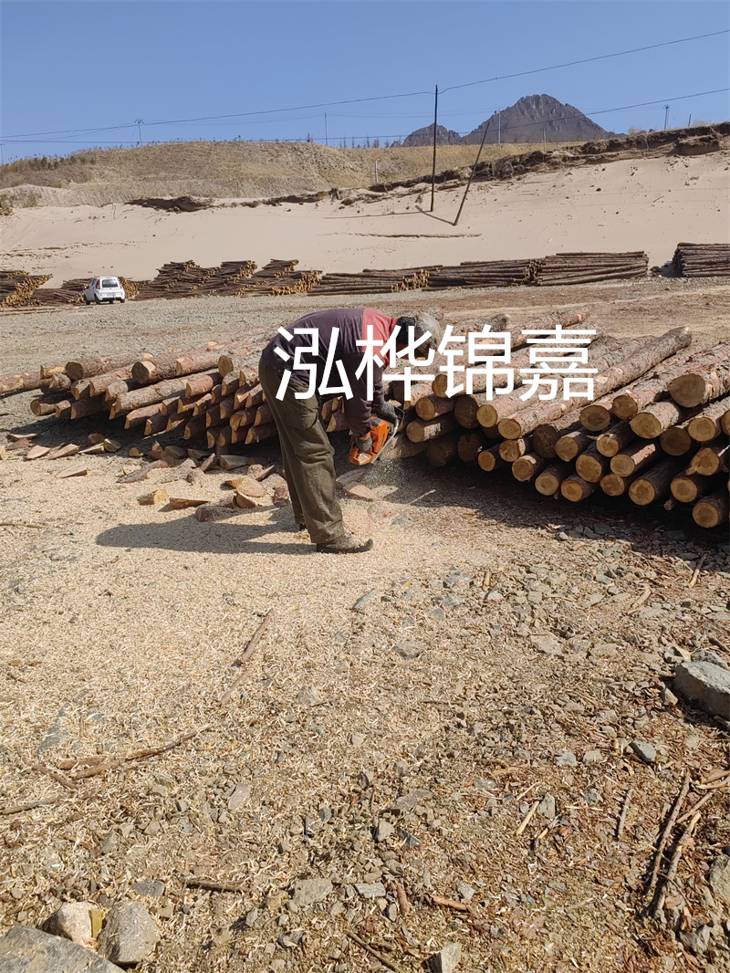 松木樁駁岸施工，打造水上風景線